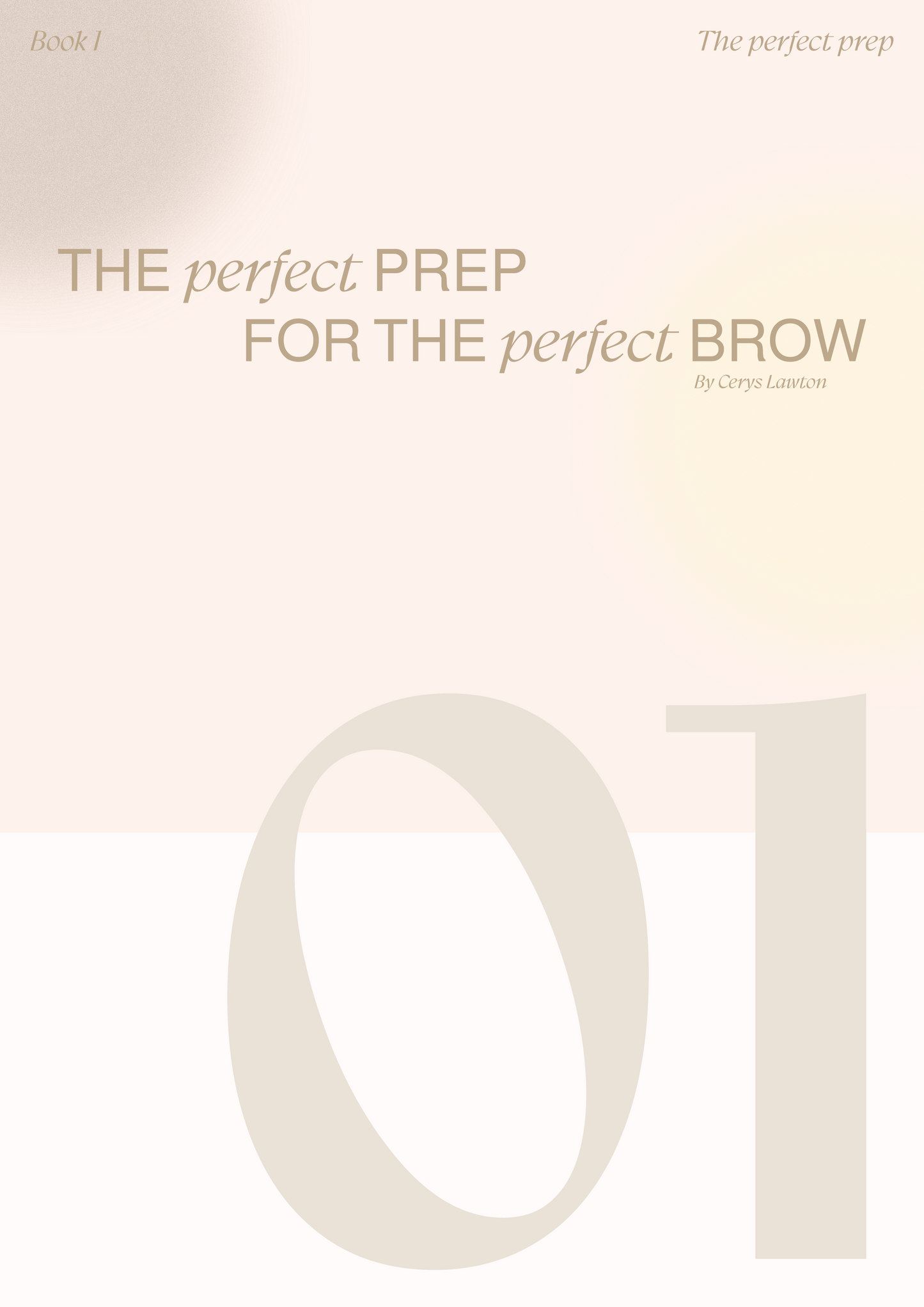 The Perfect Prep for the Perfect Brow - E-book No.1